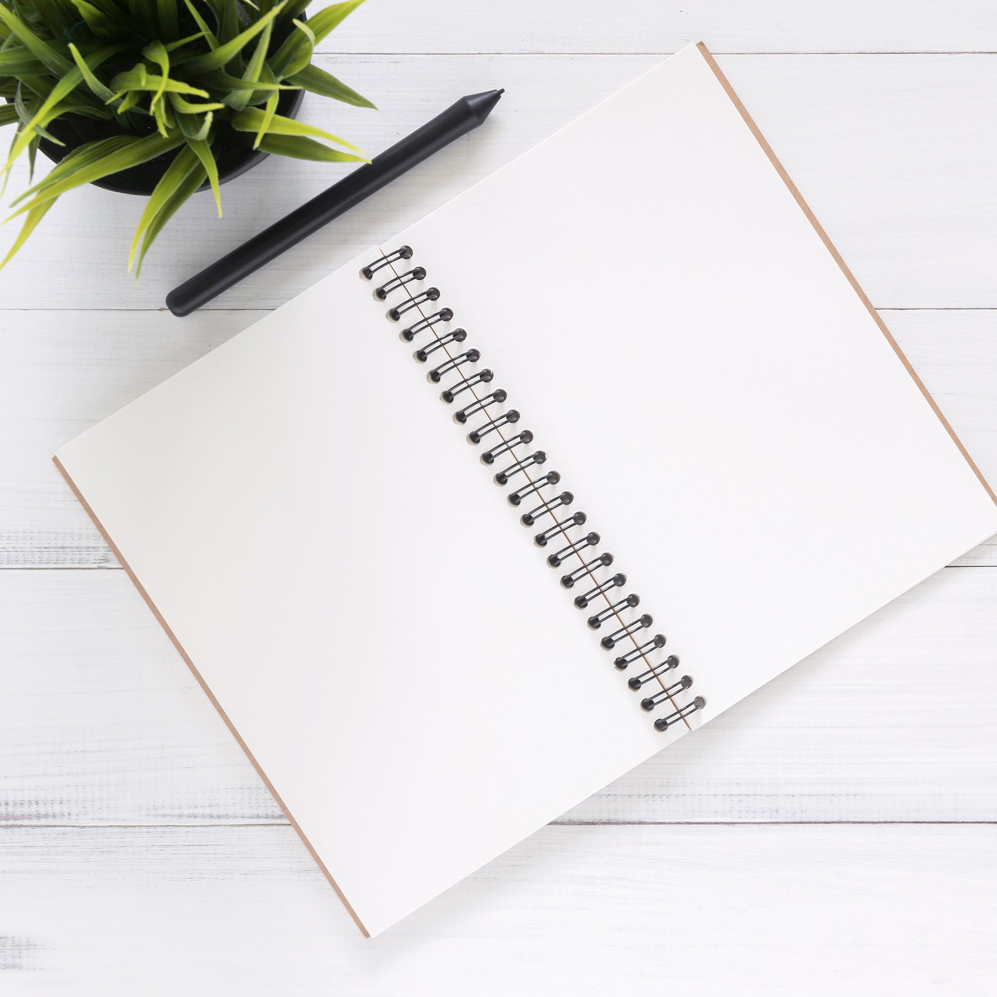 Introductory Consultancy Call